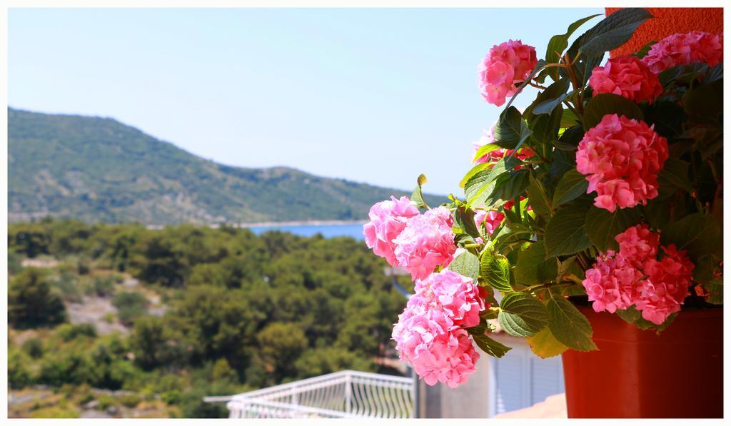 Villa Marica Primošten Εξωτερικό φωτογραφία